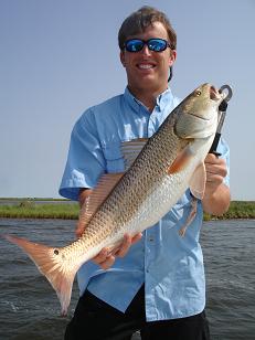 Redfish